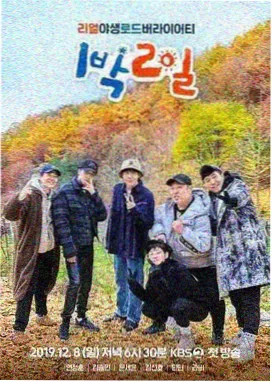 方言大会 综艺免费在线观看